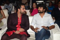 Falaknuma Das Movie Pre Release Event Photos